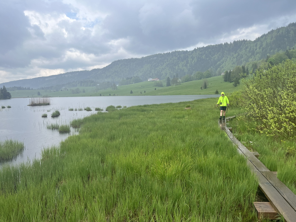 23-05-23 13-02-36 5594